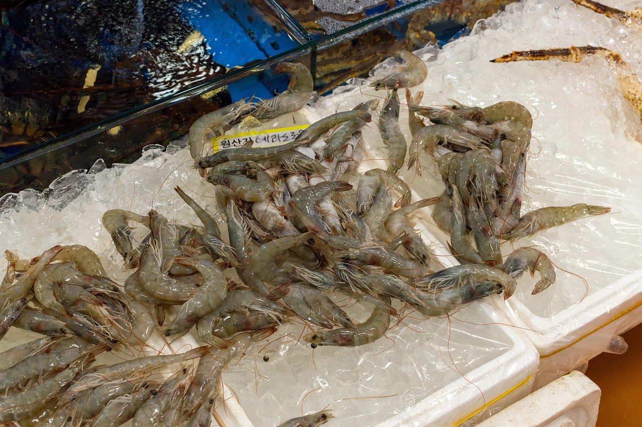 Mélange fruits de mer