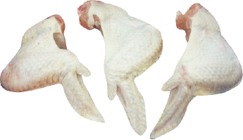 Ailes de dinde 3 phalanges